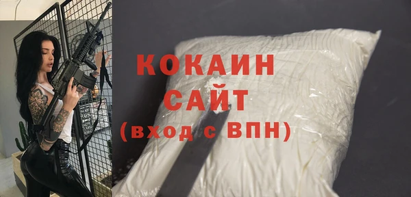 амф Пересвет