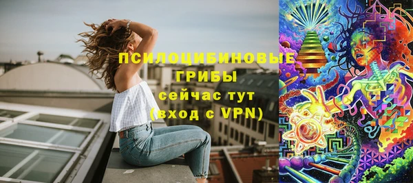 spice Осинники