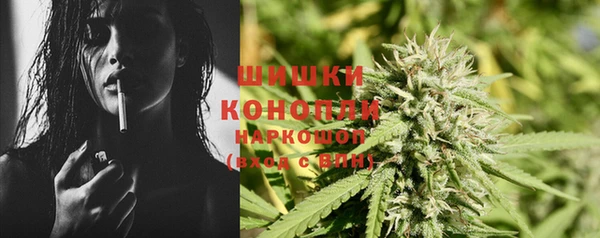 spice Осинники